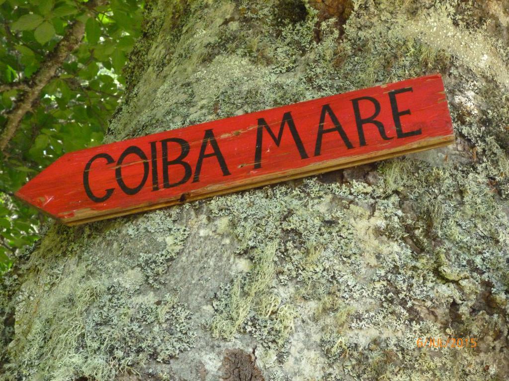 Cabana Suvenirurilor Scarisoara  Εξωτερικό φωτογραφία