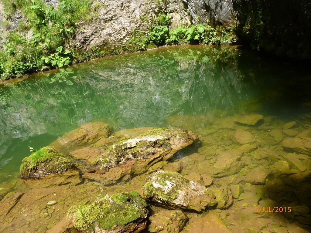 Cabana Suvenirurilor Scarisoara  Εξωτερικό φωτογραφία